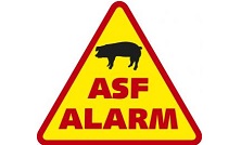 Na zdjęciu widoczny jest żółty znak ostrzegawczy z grafiką czarnej świni i napisem ASF ALARM